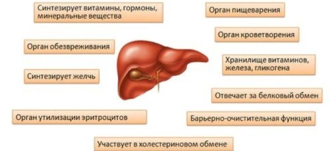 Цвет мочи при циррозе печени: причины и последствия заболевания