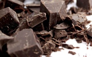 Вреден ли шоколад для печени: аргументы «за» и «против»