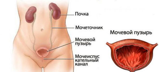 Неприятные ощущения в мочеиспускательном канале у женщин