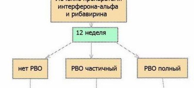 Отличия гепатита c с генотипом 1b от других форм вирусного поражения печени