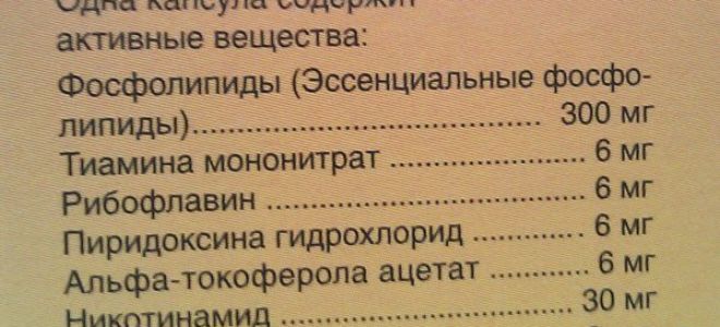 Эссливер форте: побочные действия касаются пищеварения и иммунитета