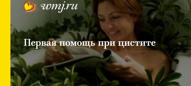 Первая помощь при цистите, домашнее незамедлительное лечение