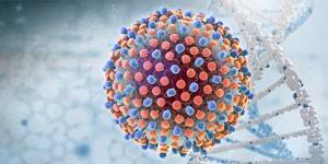 Расшифровка количественного анализа на вирус гепатита С