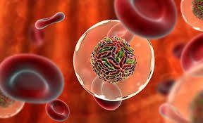 Маркеры гепатитов – признаки вируса, определяемые через анализ крови