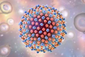 Вирусная нагрузка при гепатите С – концентрация вирусных РНК в крови