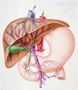Пульсирует печень: следствие перепадов давления внутри органа