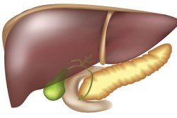 Пульсирует печень: следствие перепадов давления внутри органа