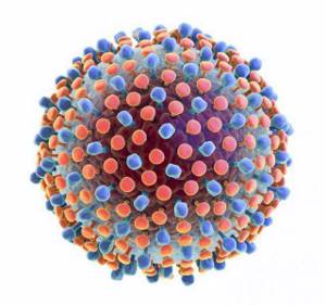 Гепатит инфекционный: виды, симптомы, способы терапии