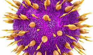 Гепатит С 2 генотип – коварное тяжелыми осложнениями заболевание печени