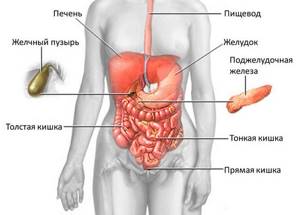 Желчный пузырь и поджелудочная железа связаны анатомически и функционально