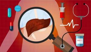 Желчные кислоты: анализ крови на функционирование печени и ее структур