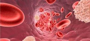 Анализ крови: билирубин прямой, непрямой и общий