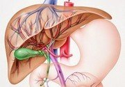 Внутрипеченочный холестаз – патология с уменьшением поступления желчи