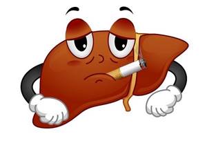 Печень и курение: влияние вредной привычки на состояние внешней железы