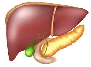 Жировой гепатоз печени: симптомы, диагностика и лечение