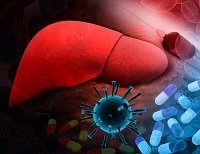 Показывает ли УЗИ печени гепатит, и как проходит обследование