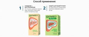 Гепарео – состав растительного препарата для лечения печени и ЖП