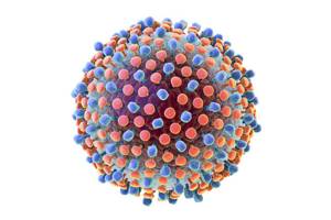Гепатит c и антитела к нему: особенности анализов