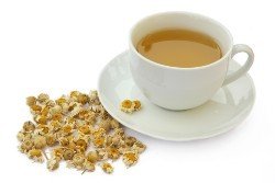 Печеночный чай: польза, вред и применение