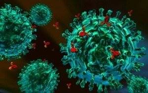 Гепатит c и антитела к нему: особенности анализов
