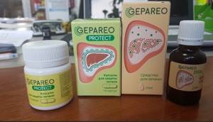 Гепарео – состав растительного препарата для лечения печени и ЖП
