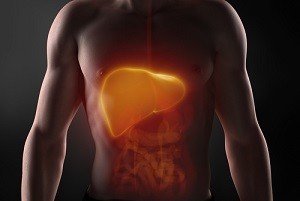 Диета при гепатите c и циррозе печени снижает нагрузку на сам органа и ЖКТ