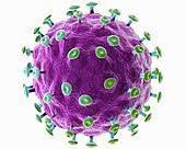 Описание хронического гепатита и способов лечения